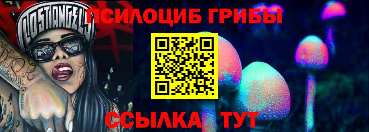 Галлюциногенные грибы Psilocybe Белорецк
